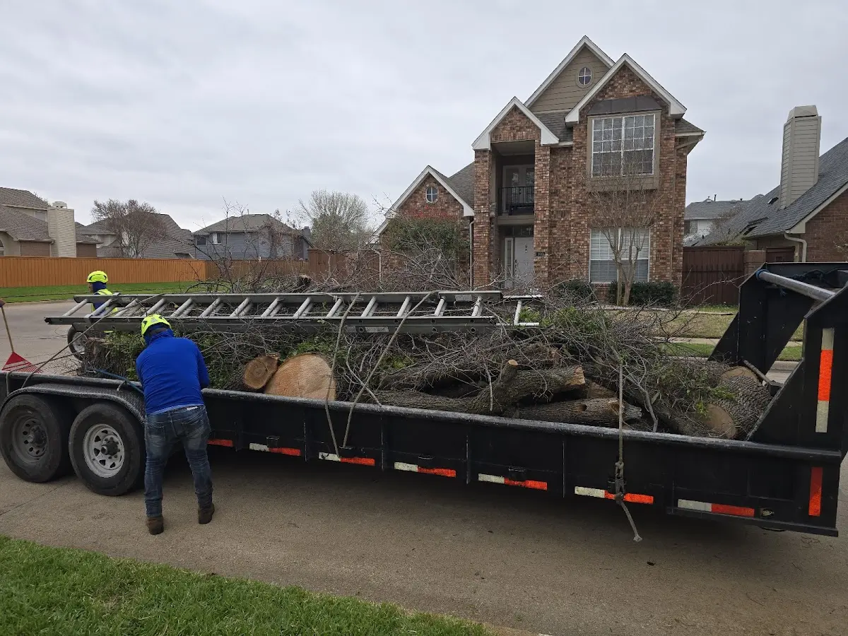 Expert Lot Clearing with proper safety equipment in Vernon